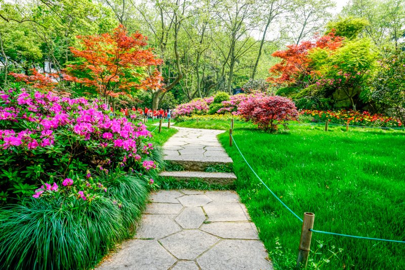 lush green park with clean stone path